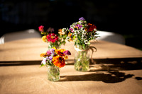Alyssa & Dan Wedding Celebration [PREVIEW]
